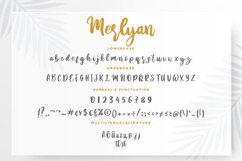 Merlyan Brush Calligraphy Font Creatype Studio 