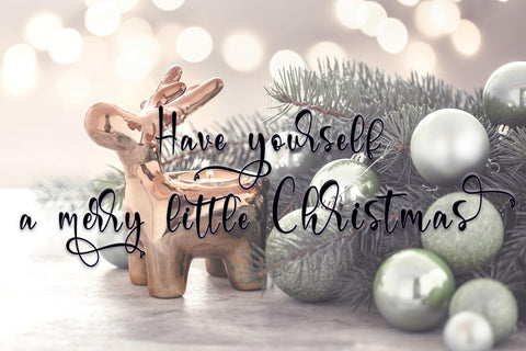 Merlyn Font Letterara 