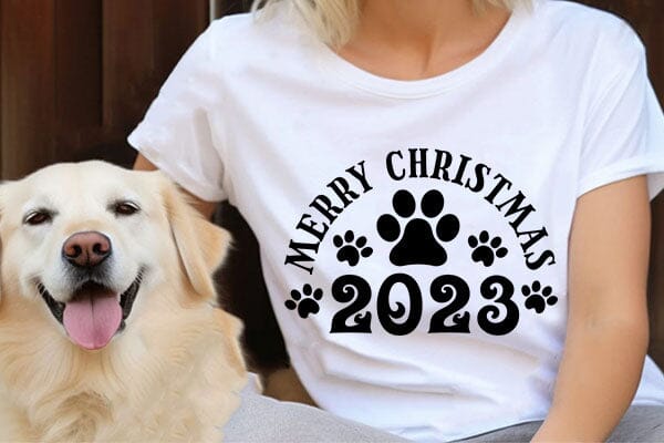 Merry Christmas 2023 SVG Angelina750 