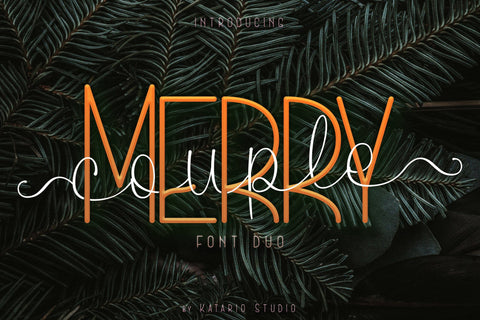 MerryCouple | Lovely Font Duo San Serif Script Font Katario Studio 