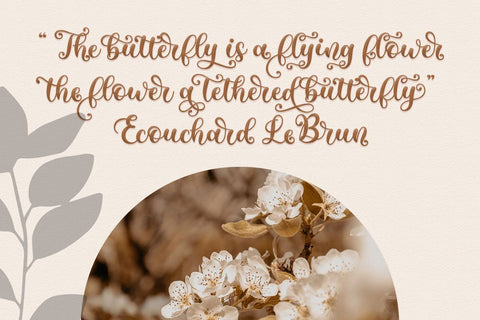 Metafora | Fancy Calligraphy Font studioalmeera 