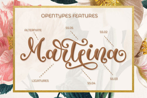 Metafora | Fancy Calligraphy Font studioalmeera 