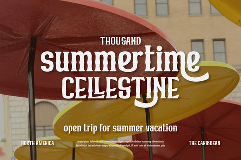 Mibundi | Retro Condensed Font Font twinletter 