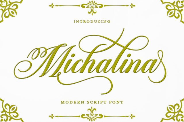 Michalina Font Straight.co 