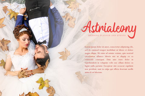 Michayla Font Holydie Studio 