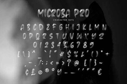 Microba Pro SVG Font Font Motokiwo 