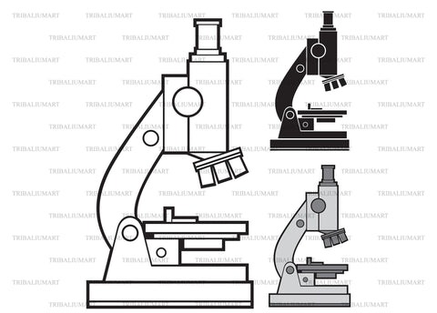 Microscope SVG TribaliumArtSF 