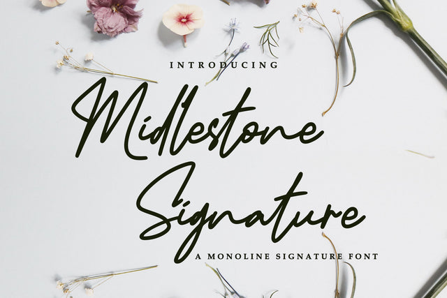 Midlestone Signature Font R. Studio 