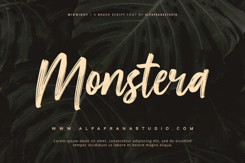 Midnight - Brush Script Font - So Fontsy