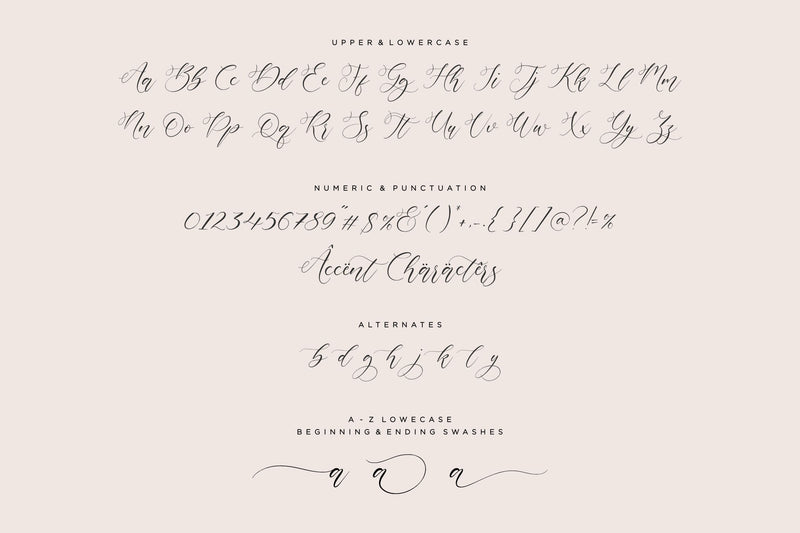 mignola Modern Handwritten Font - So Fontsy