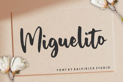 Miguelito Modern Handwritten Font Font Balpirick 
