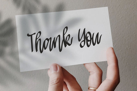 Miguelno Carlota Modern Script Font Font Creakokun Studio 