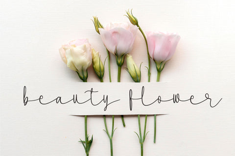 Milanicay Font Qwrtype Foundry 