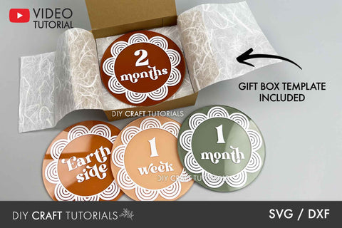 Milestone Box SVG Template SVG DIY Craft Tutorials 