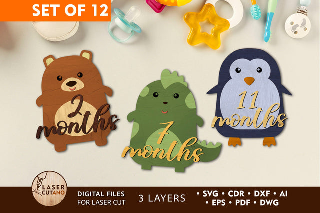 Milestone, Monthly Cards for Baby, Kids, Girl and Boy Laser Cut Gift SVG LaserCutano 