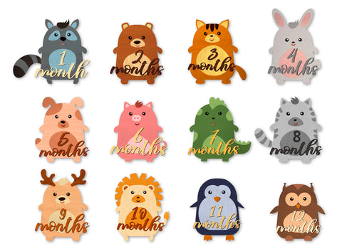 Milestone, Monthly Cards for Baby, Kids, Girl and Boy Laser Cut Gift SVG LaserCutano 