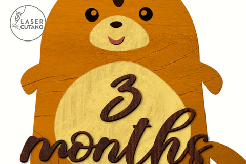 Milestone, Monthly Cards for Baby, Kids, Girl and Boy Laser Cut Gift SVG LaserCutano 