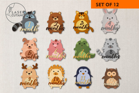 Milestone, Monthly Cards for Baby, Kids, Girl and Boy Laser Cut Gift SVG LaserCutano 