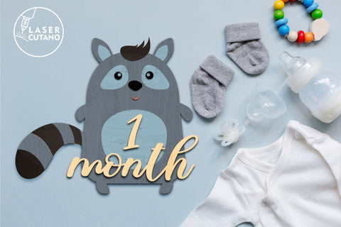 Milestone, Monthly Cards for Baby, Kids, Girl and Boy Laser Cut Gift SVG LaserCutano 
