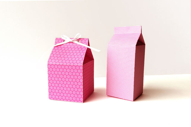 Milk Carton Boxes SVG 3D Paper Risa Rocks It 