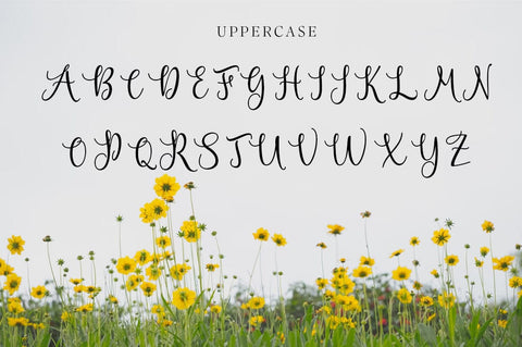 Milletcha Font azkiyaazka026 