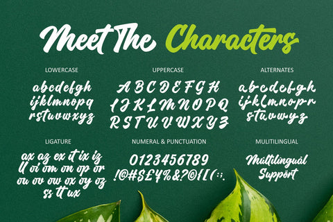 Million Orchid// Casual Handwritten Font Four Lines Std. 