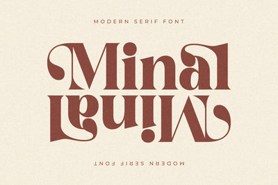 Minal Typeface Font Storytype Studio 