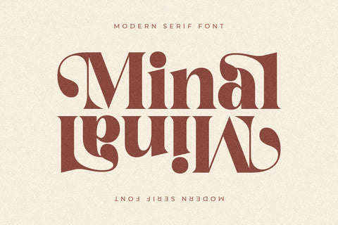 Minal Typeface Font Storytype Studio 