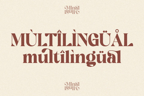Minal Typeface Font Storytype Studio 