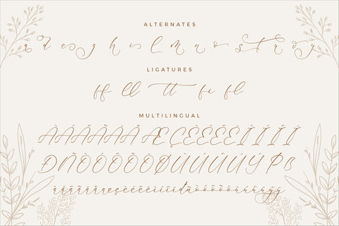 Mindflora Benatio - Beauty Script Font Font Storytype Studio 