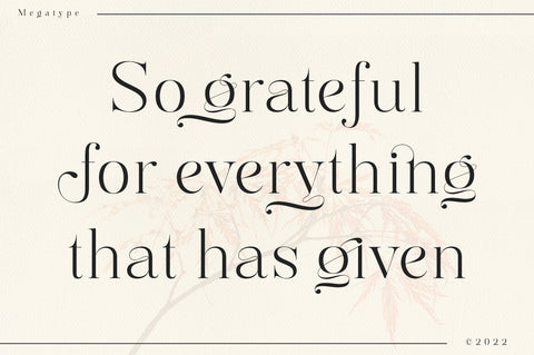 Mingolia Display Font Megatype 