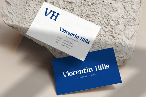 Minguest - Decorative Serif Font Font StringLabs 