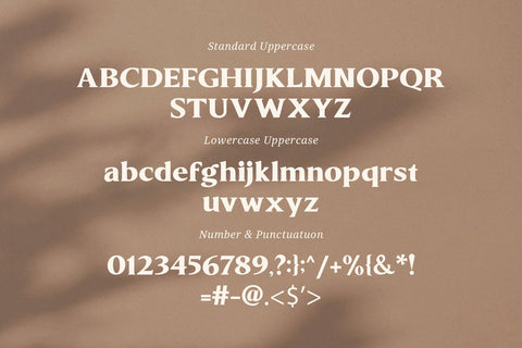 Minthe - Serif Font Font Graphicxell 