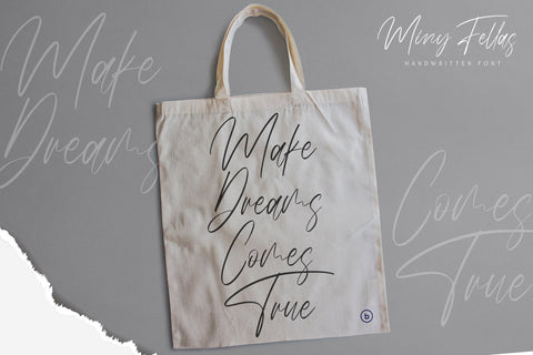 Miny Fellas - Modern Handwritten Font Font StringLabs 