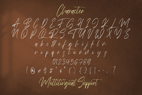 Miny Fellas - Modern Handwritten Font Font StringLabs 