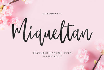 Miqueltan Font Allouse.Studio 