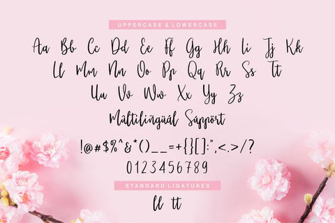 Miqueltan Font Allouse.Studio 