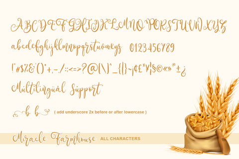 Miracle Farmhouse Font Abo Daniel Studio 