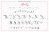 Miracle Script - So Fontsy