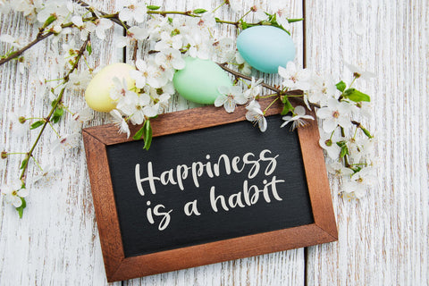 Mister Longround Font Wildan Type 