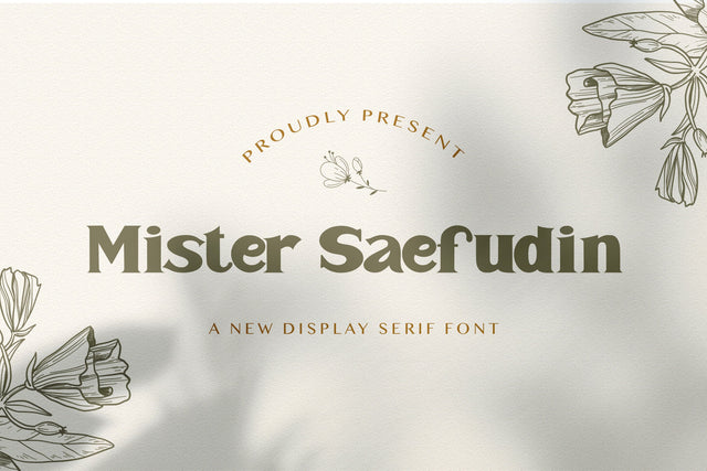 Mister Saefudin - Elegant Serif Font Font StringLabs 