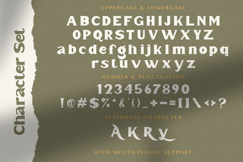 Mister Saefudin - Elegant Serif Font Font StringLabs 