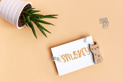 Misty The Cat Font Freeling Design House 