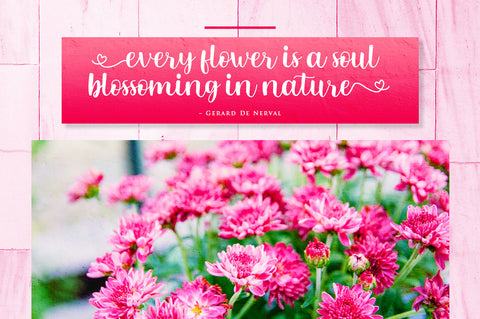 Mitta Sweety - Beautiful Font Font Ibey Design 