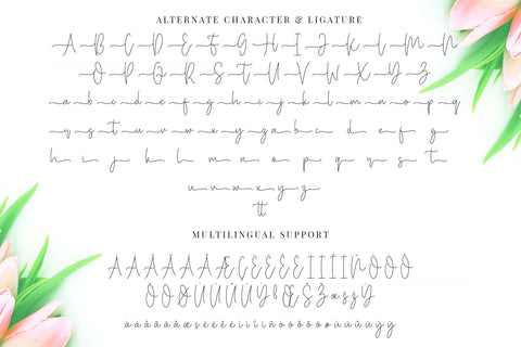 Miya Wayne - Modern Lovely Script Font Font StringLabs 