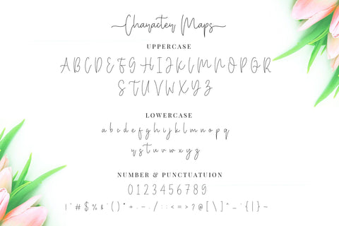 Miya Wayne - Modern Lovely Script Font Font StringLabs 
