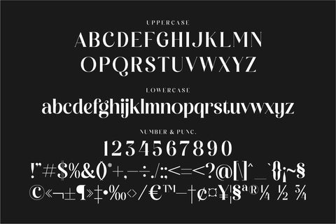 Mockads Typeface Font Storytype Studio 
