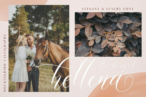 Mockingbird | Modern Calligraphy Font studioalmeera 