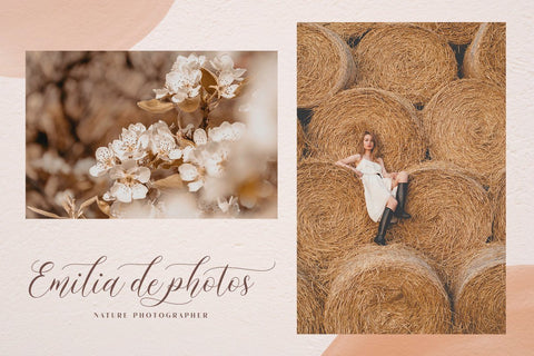 Mockingbird | Modern Calligraphy Font studioalmeera 