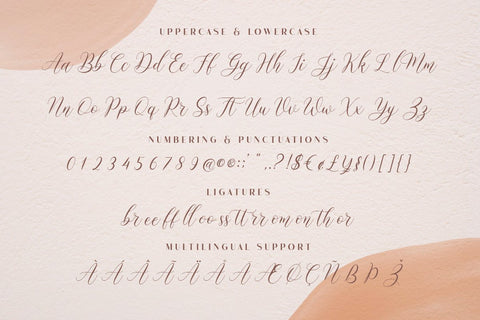 Mockingbird | Modern Calligraphy Font studioalmeera 